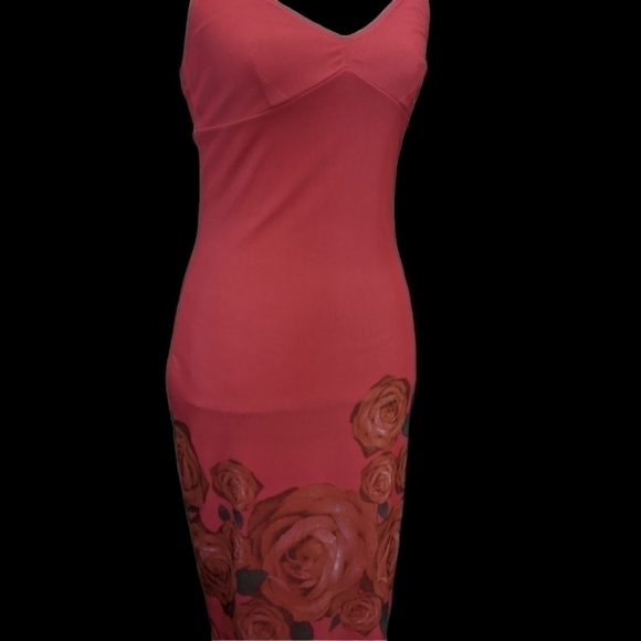 Express Dresses & Skirts - Express sun dress lined